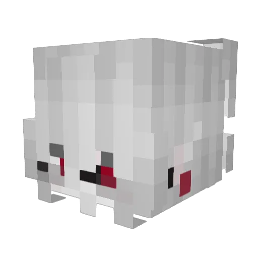 MooshyMush12 Minecraft avatar head, 3D render