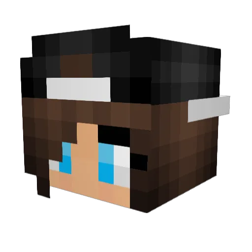 Moosiekins Minecraft avatar head, 3D render