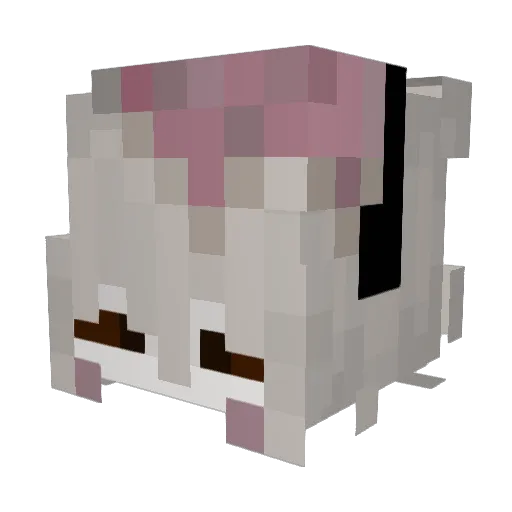MorTrisha Minecraft avatar head, 3D render