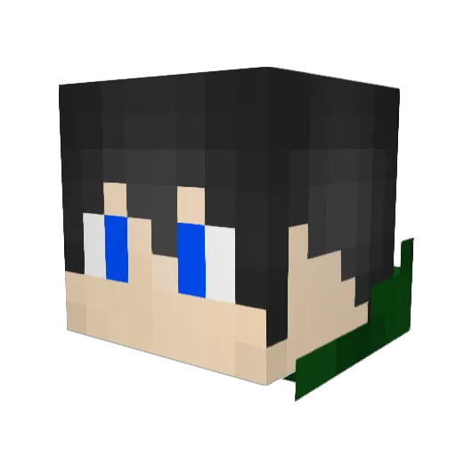Moracas Minecraft avatar head, 3D render