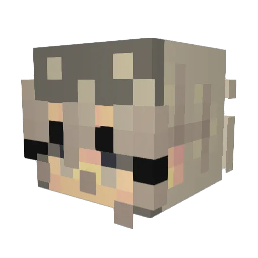 MorbidCarrot22 Minecraft avatar head, 3D render