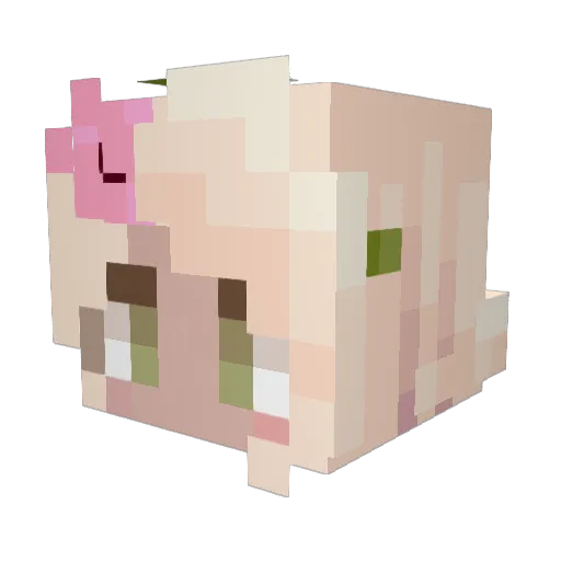 MorbidKitty Minecraft avatar head, 3D render