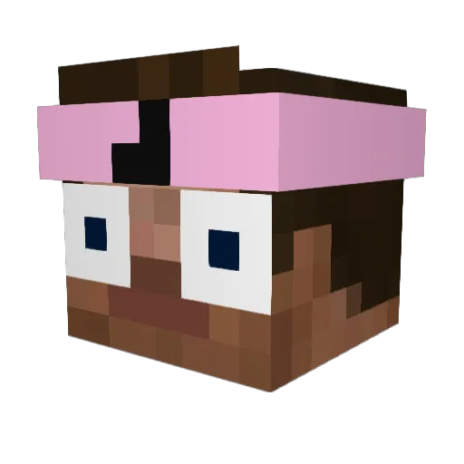 Mordecaay Minecraft avatar head, 3D render