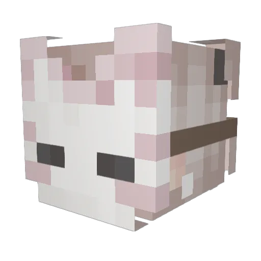 Mordecacti Minecraft avatar head, 3D render