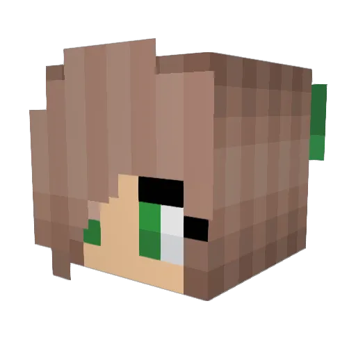 Mordecai912 Minecraft avatar head, 3D render