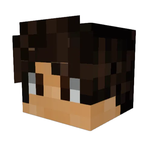 Mordecai_D Minecraft avatar head, 3D render