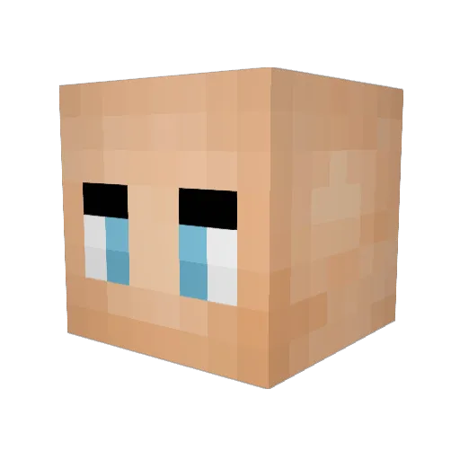 MoreBiteThanBark Minecraft avatar head, 3D render