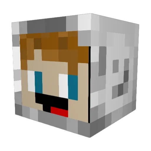 MoreCarrotz Minecraft avatar head, 3D render