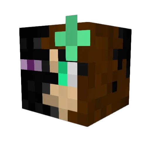 MoreFunForUs Minecraft avatar head, 3D render