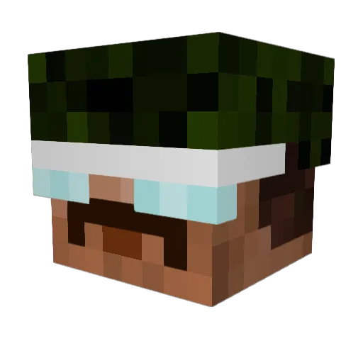 More_Fish_132 Minecraft avatar head, 3D render