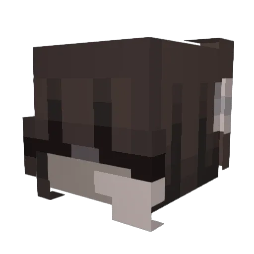 Morelefay Minecraft avatar head, 3D render