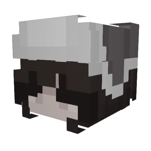 Morelkowa Minecraft avatar head, 3D render