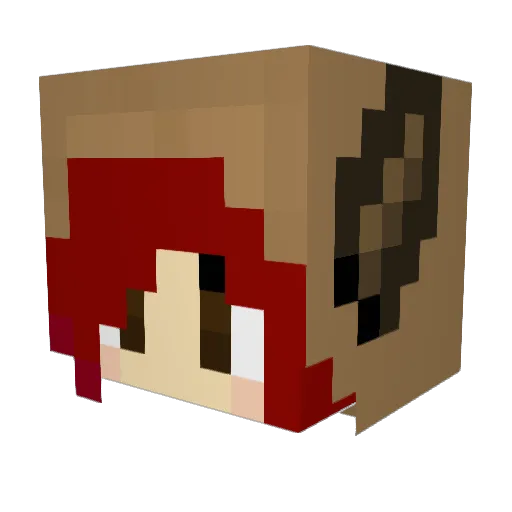 Morgabooo Minecraft avatar head, 3D render