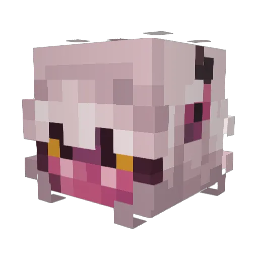 MorganEtAl Minecraft avatar head, 3D render
