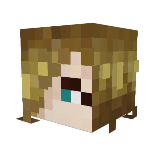 MorganLeFay004 Minecraft avatar head, 3D render