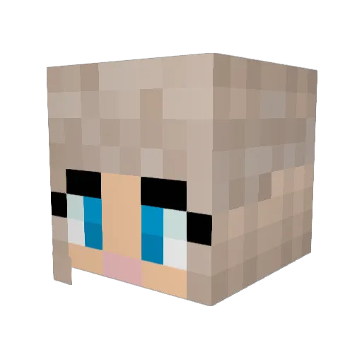 MorganNicole99 Minecraft avatar head, 3D render