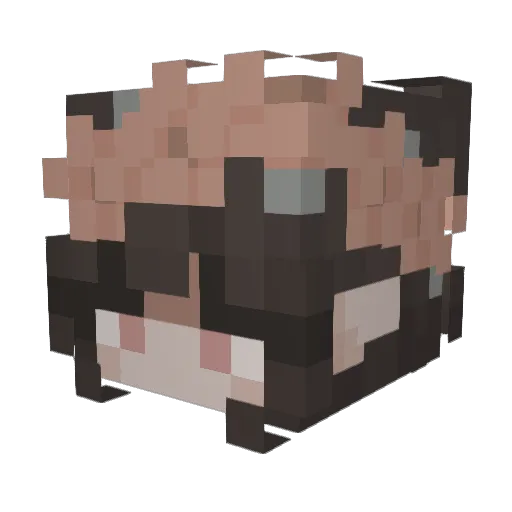 Morganella Minecraft avatar head, 3D render
