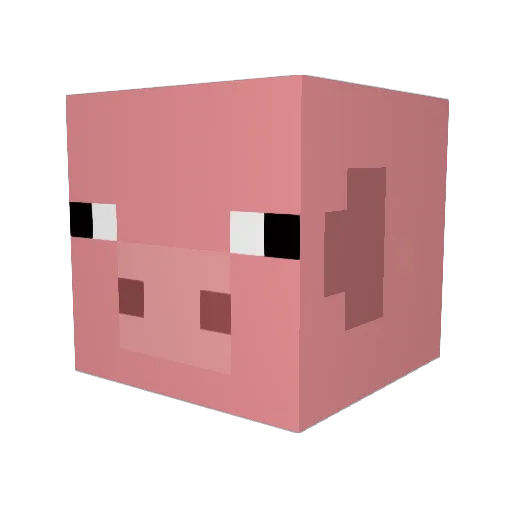 Morgans54 Minecraft avatar head, 3D render