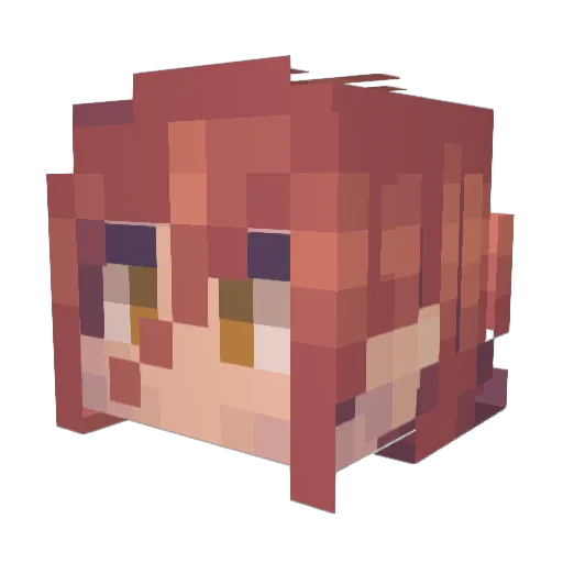 MorgiFly Minecraft avatar head, 3D render