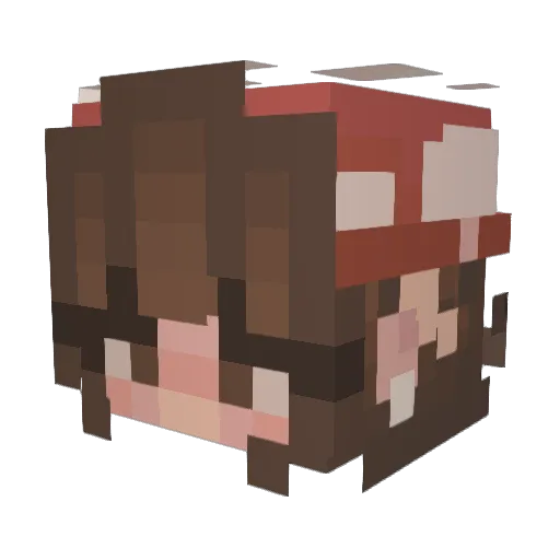 Morgs1805 Minecraft avatar head, 3D render