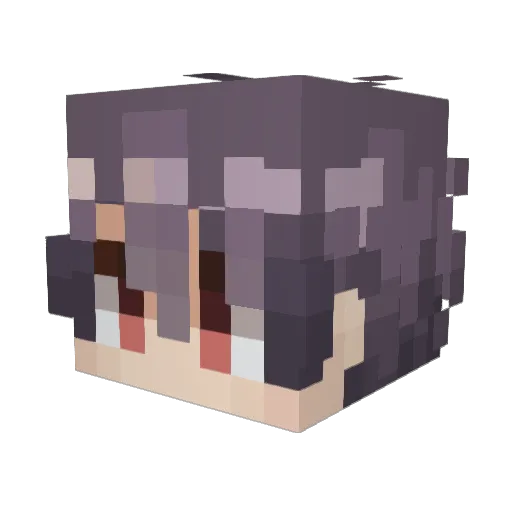 Morgww1 Minecraft avatar head, 3D render