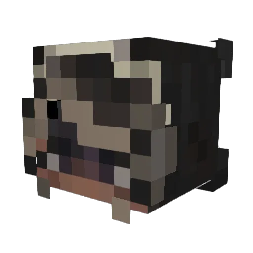 Morilaini Minecraft avatar head, 3D render