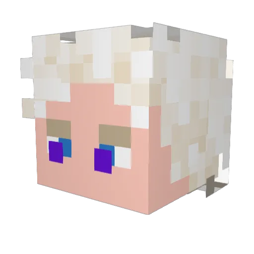 Moritz7145 Minecraft avatar head, 3D render