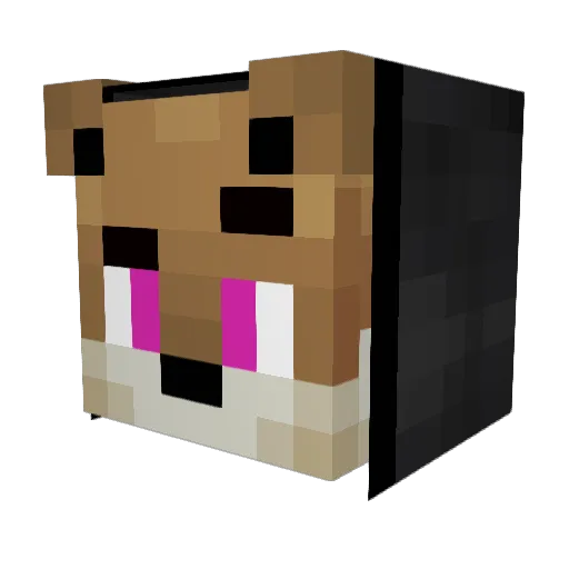 Moritzwent10 Minecraft avatar head, 3D render