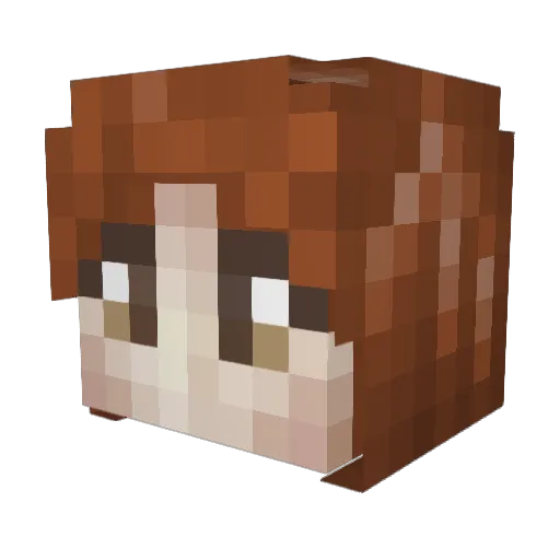 Morkee Minecraft avatar head, 3D render