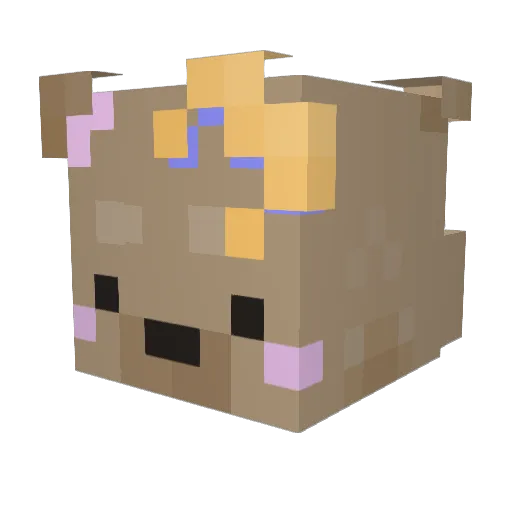 MorningSloffee Minecraft avatar head, 3D render