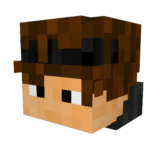 Moronic_ Minecraft avatar head, 3D render