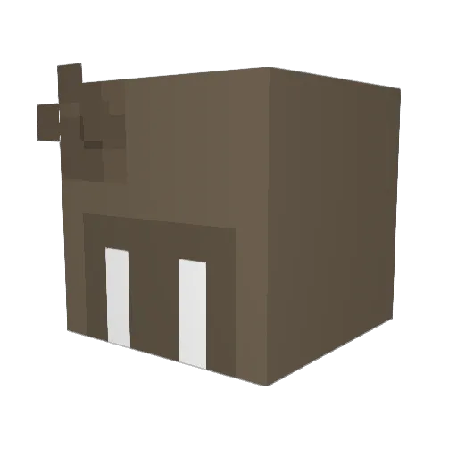 Moropy Minecraft avatar head, 3D render