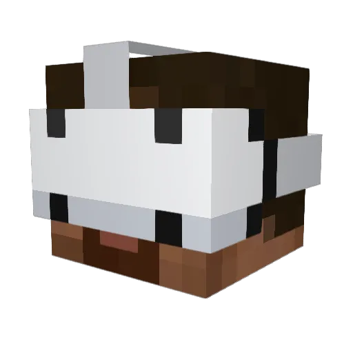 Mororojo Minecraft avatar head, 3D render