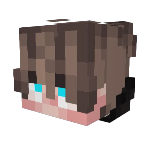 Morrack Minecraft avatar head, 3D render
