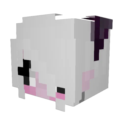 MorriMorri Minecraft avatar head, 3D render