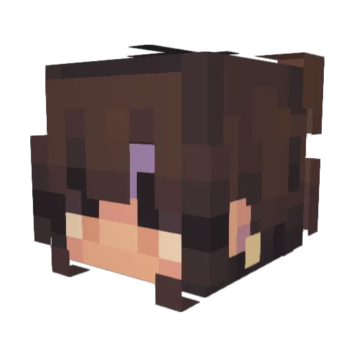 Morrkorv Minecraft avatar head, 3D render