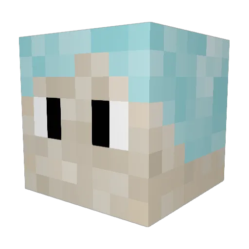 MorroVoid Minecraft avatar head, 3D render