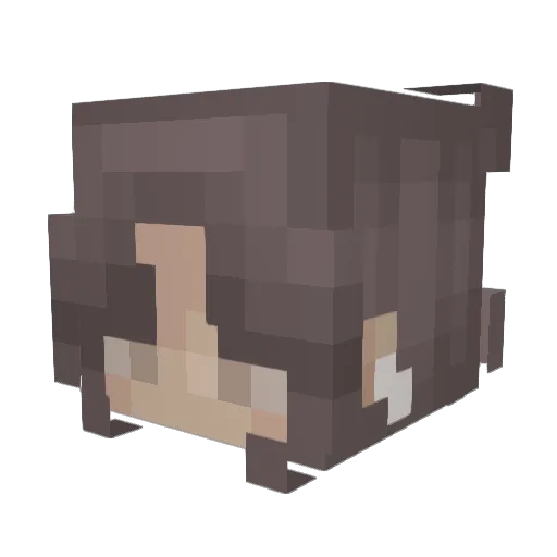Morrris2018 Minecraft avatar head, 3D render