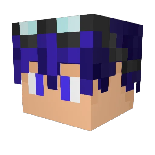 Mort_Facteur Minecraft avatar head, 3D render
