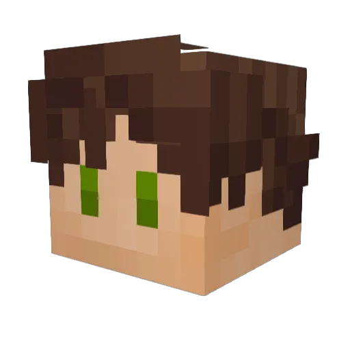 Mortecouille56 Minecraft avatar head, 3D render