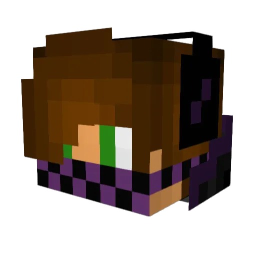 Morti55 Minecraft avatar head, 3D render
