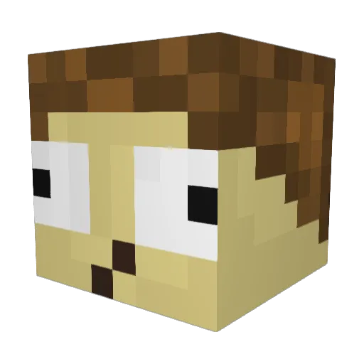 Morty00 Minecraft avatar head, 3D render