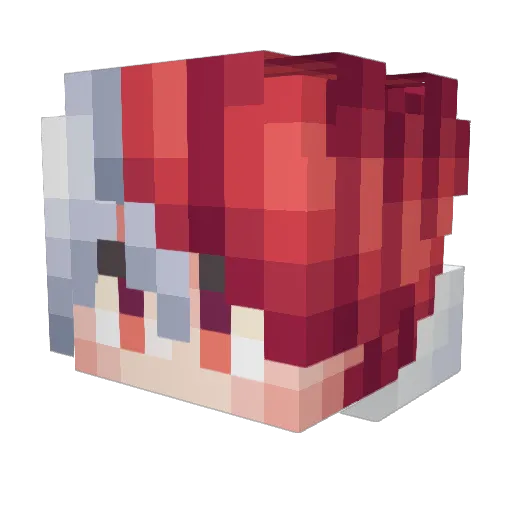 Morty_Fine Minecraft avatar head, 3D render