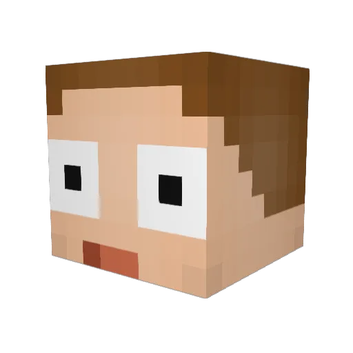 Morty__Smith Minecraft avatar head, 3D render