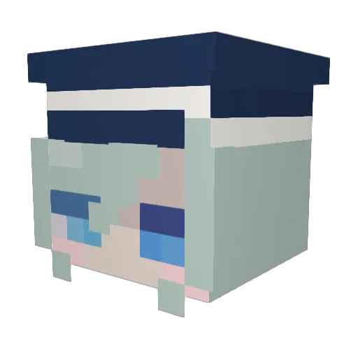 MortytheMortis Minecraft avatar head, 3D render