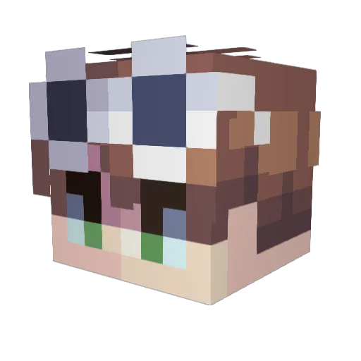 Moruko2766 Minecraft avatar head, 3D render