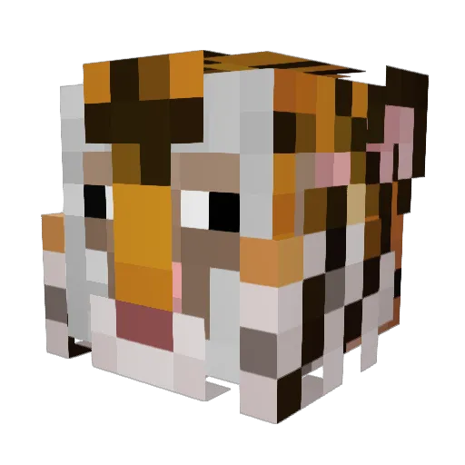 MosesMoses Minecraft avatar head, 3D render