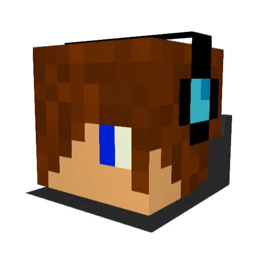 Moskitiera Minecraft avatar head, 3D render