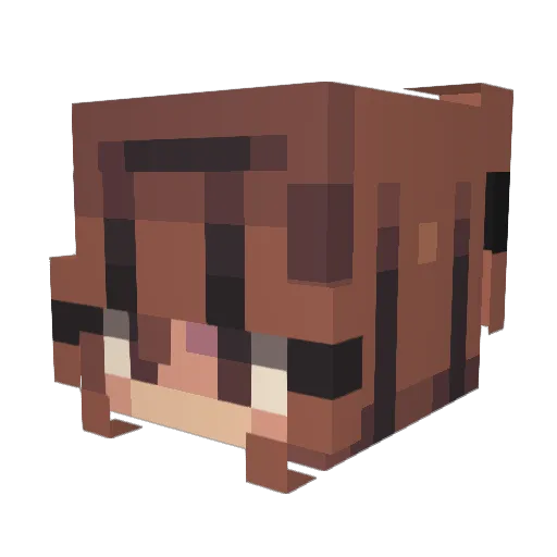 MossadAgent67 Minecraft avatar head, 3D render