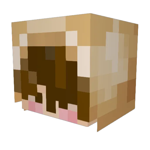 MossySprout22 Minecraft avatar head, 3D render